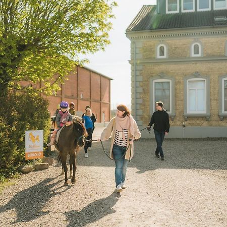 Buedlfarm - Der Familien-Erlebnishof In Strandnaehe フェーマルン エクステリア 写真