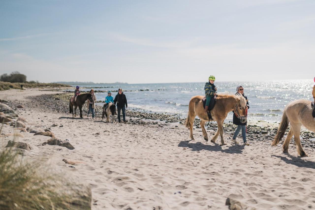 Buedlfarm - Der Familien-Erlebnishof In Strandnaehe フェーマルン エクステリア 写真