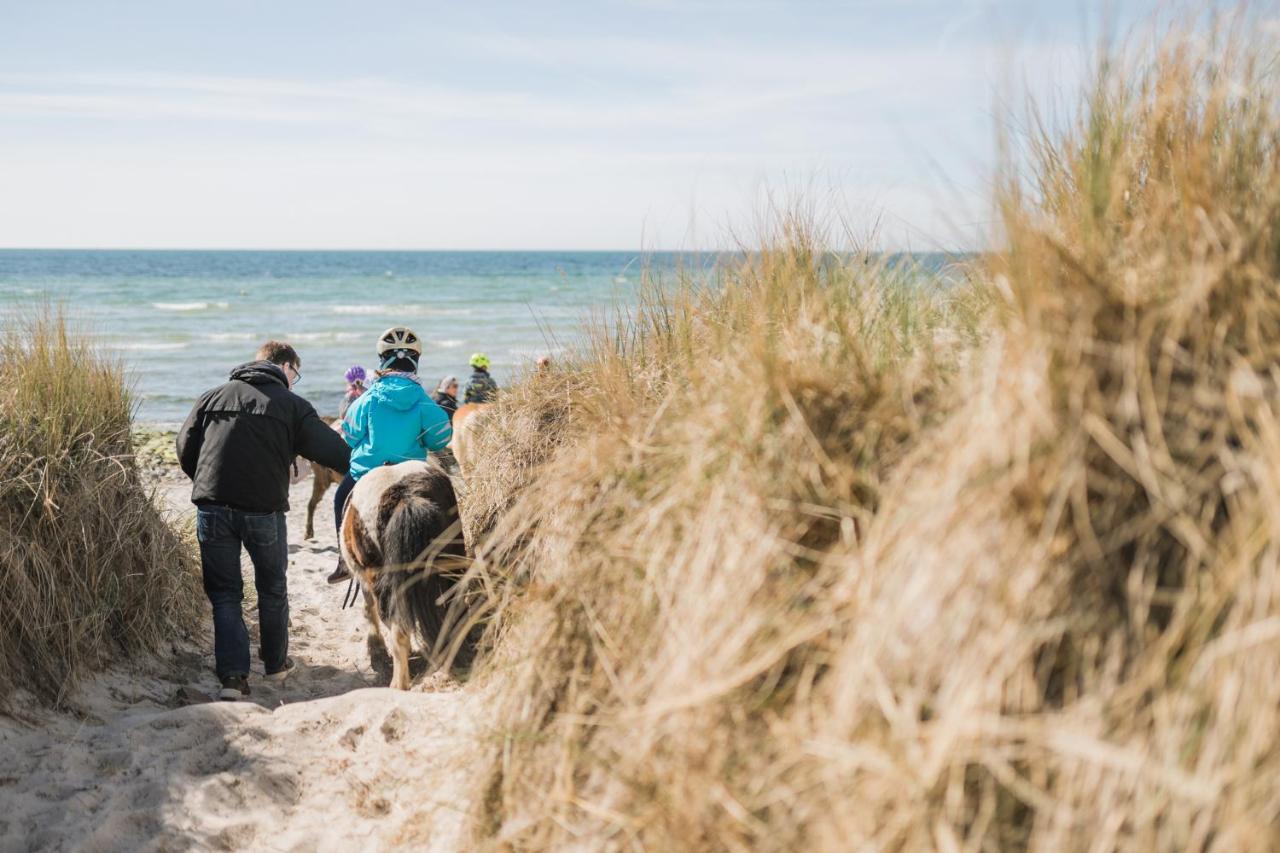 Buedlfarm - Der Familien-Erlebnishof In Strandnaehe フェーマルン エクステリア 写真