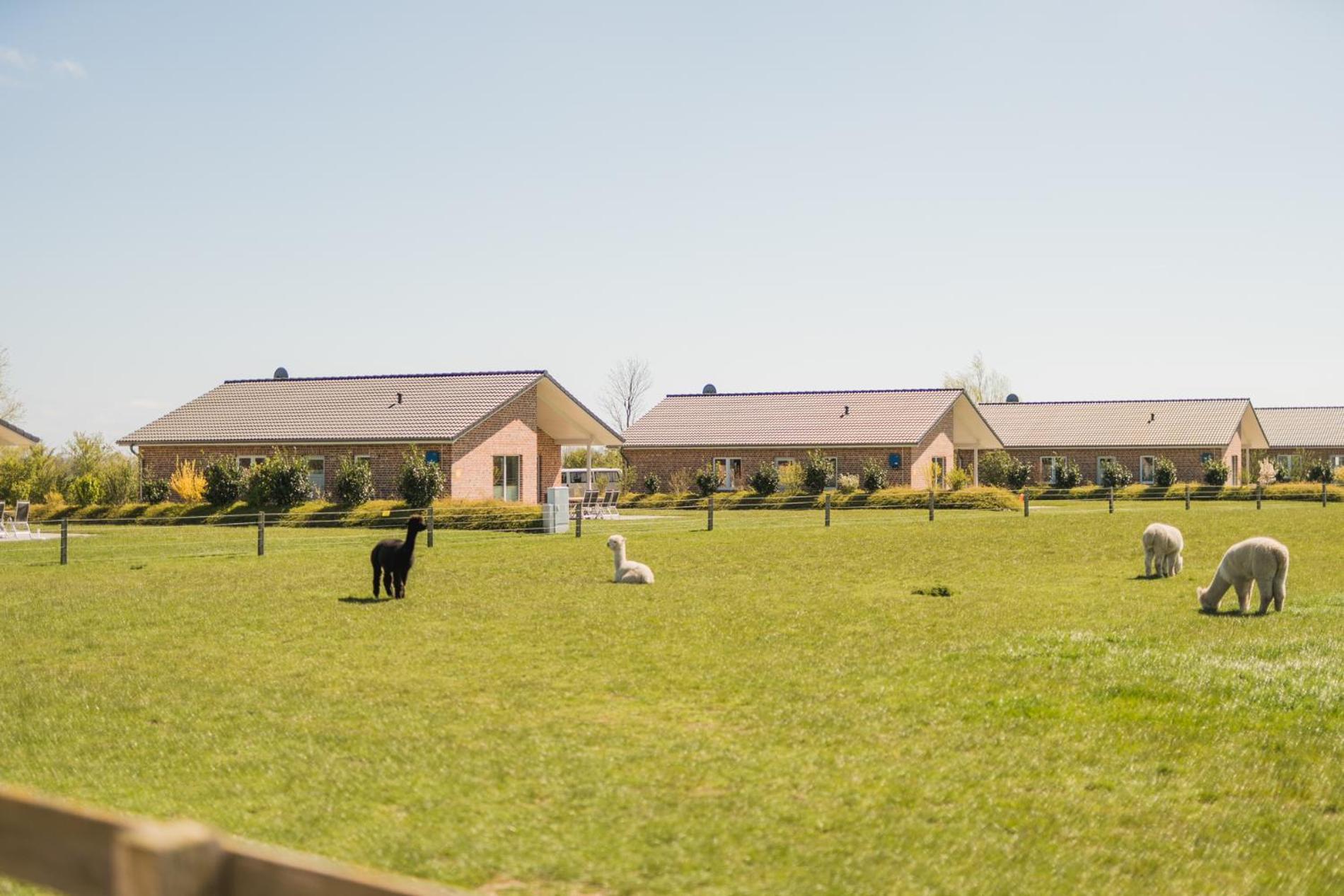 Buedlfarm - Der Familien-Erlebnishof In Strandnaehe フェーマルン エクステリア 写真
