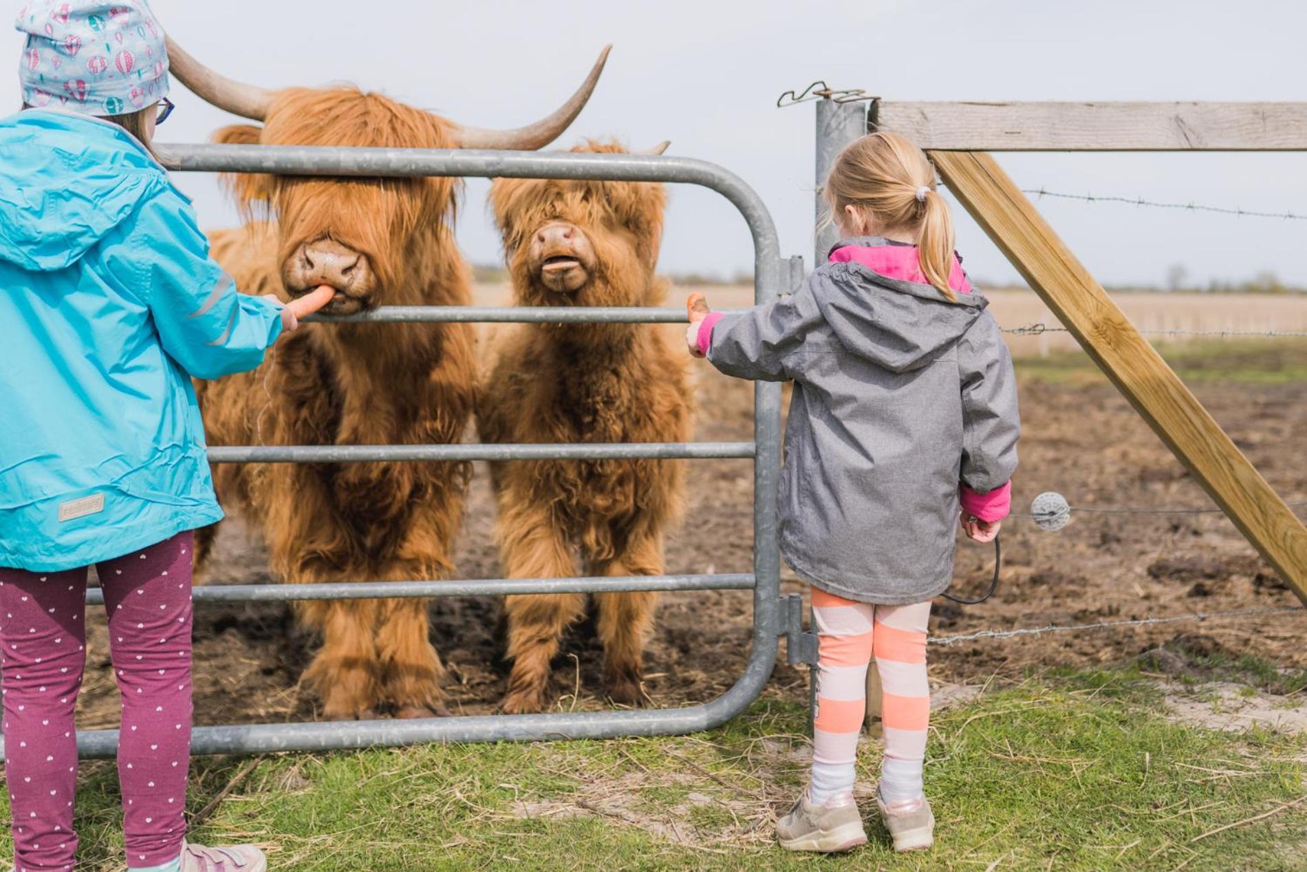 Buedlfarm - Der Familien-Erlebnishof In Strandnaehe フェーマルン エクステリア 写真